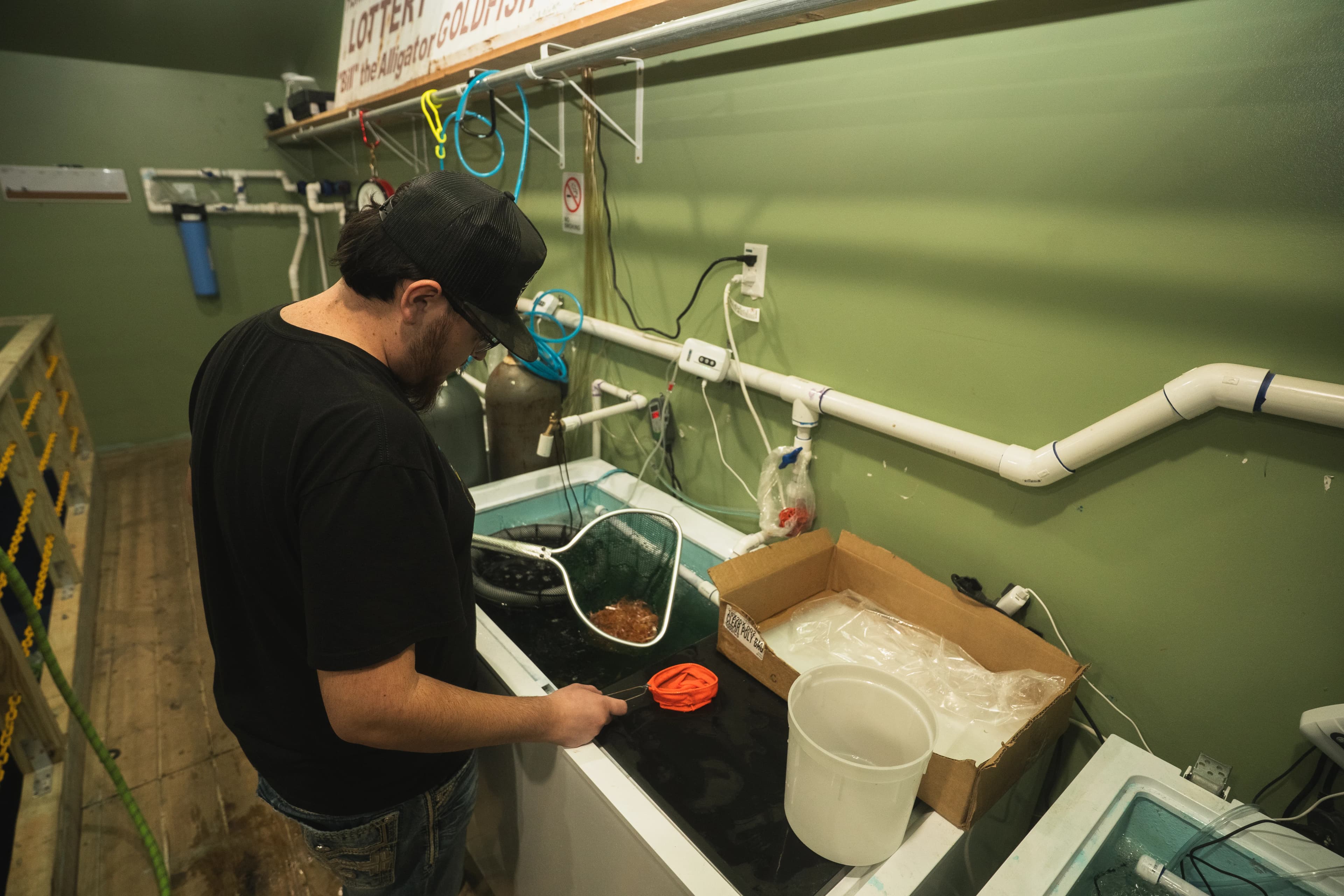 Live bait tanks at Gator's Bait Barn