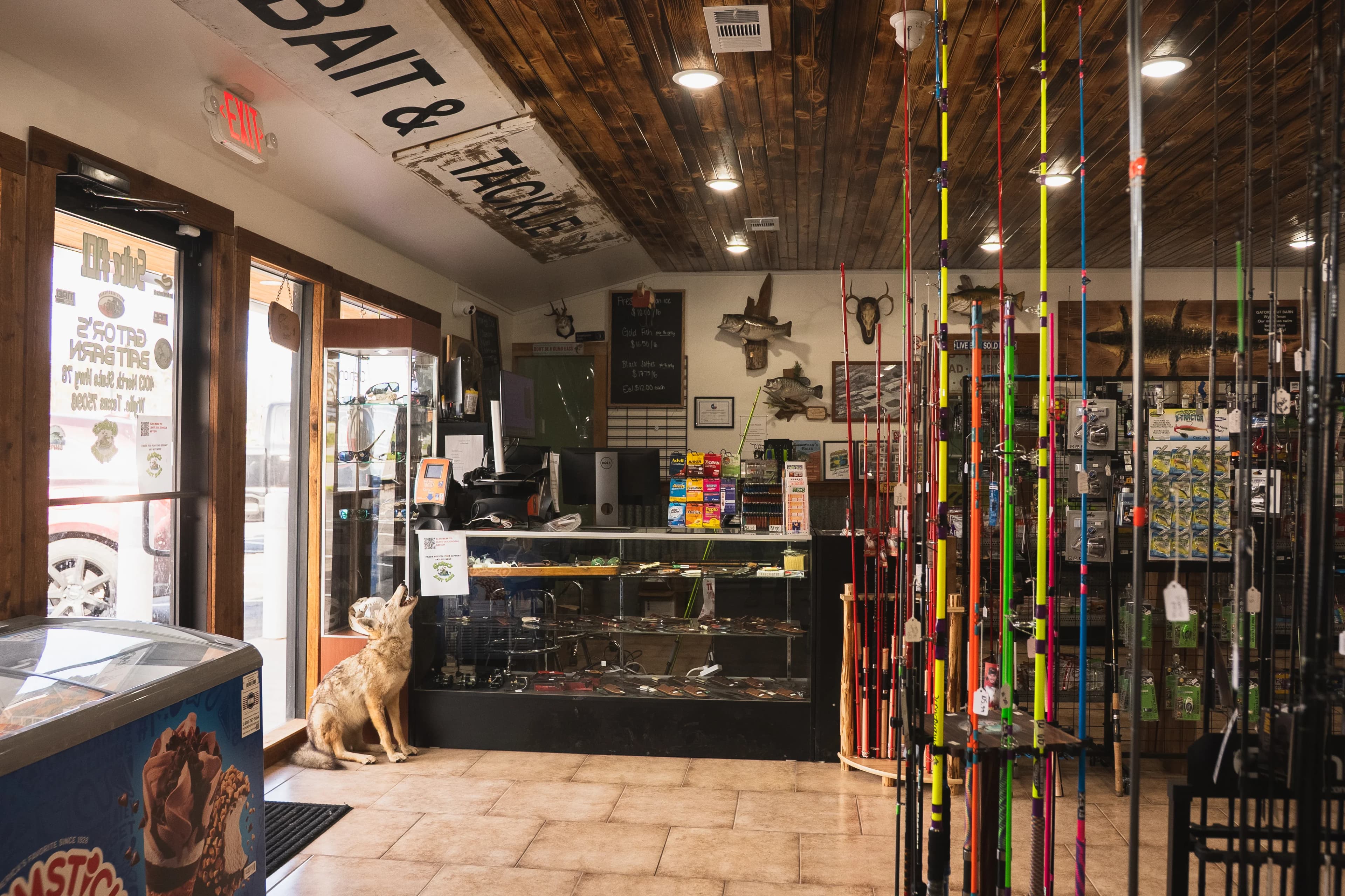 Gator's Bait Barn storefront